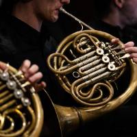 Photo of three french horns
